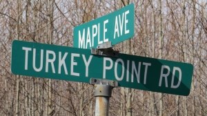 Turkey Point and Maple Rd jamiesbirds 2-8-15